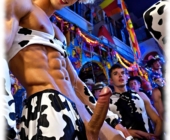 Blonder Twink im Kuhkostüm, massive glühende Lanze der Lust und die Glückskugeln im Profil. Blonder Twink im Kuhkostüm, massive glühende Lanze der Lust und die Glückskugeln im Profil.